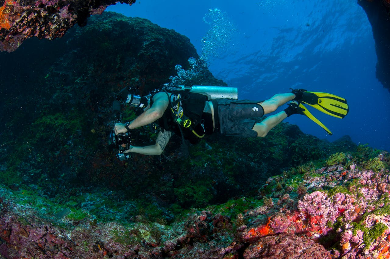 Scuba diver exploring vibrant coral reef underwater, capturing marine life in stunning detail.