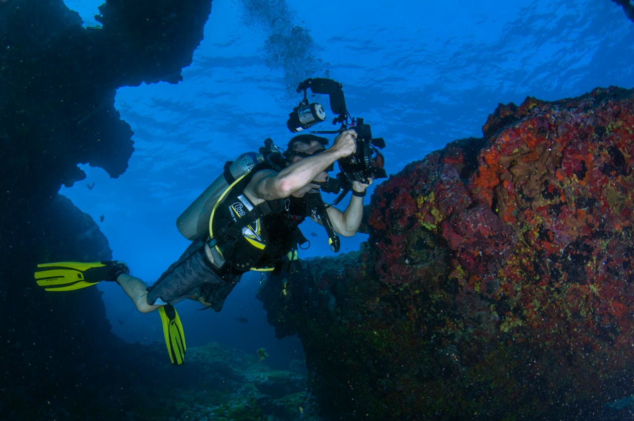 A diver photographing coral reefs in a vivid underwater scene.