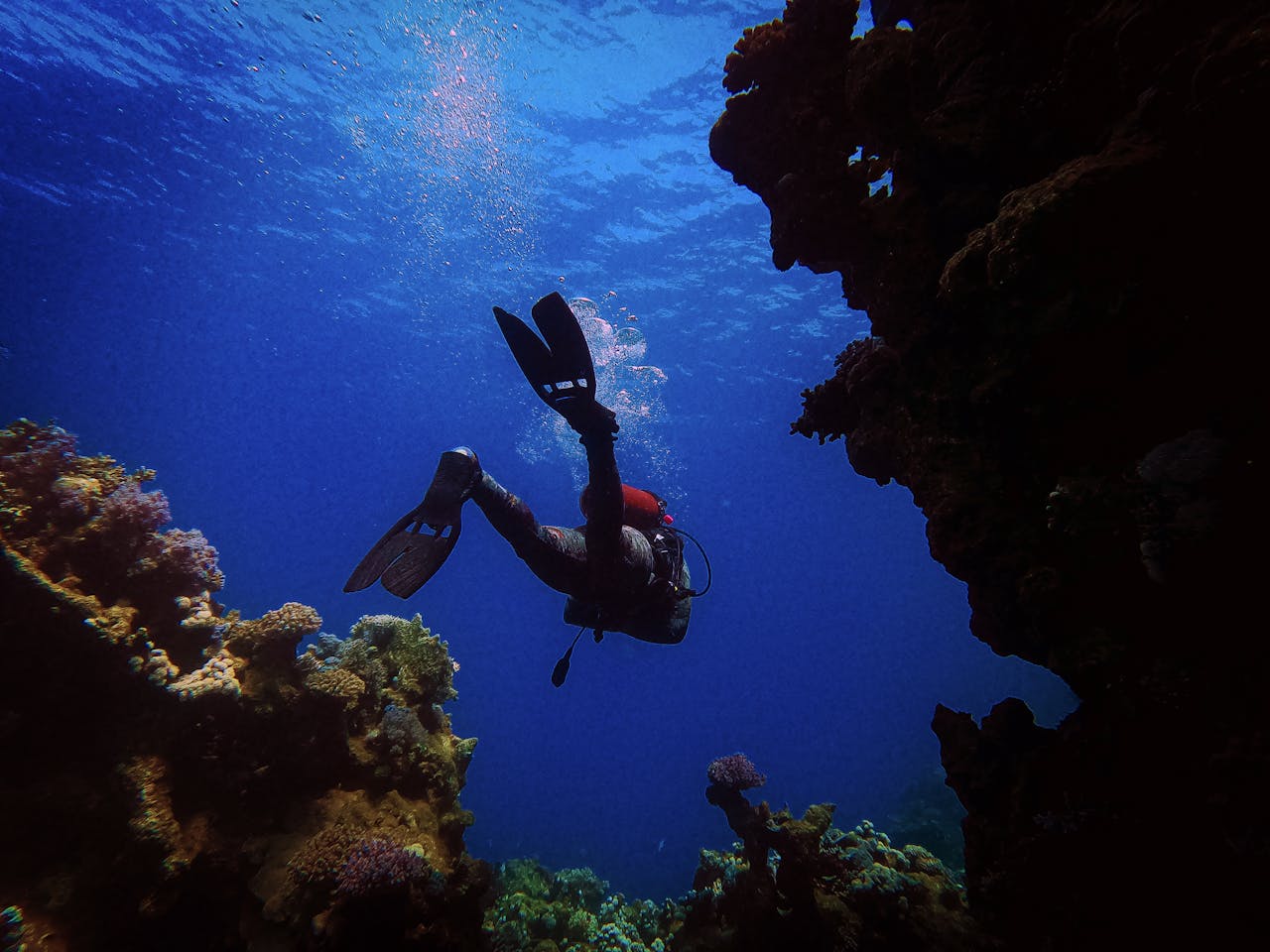 Scuba diver navigating through vibrant coral formations in deep blue ocean waters.